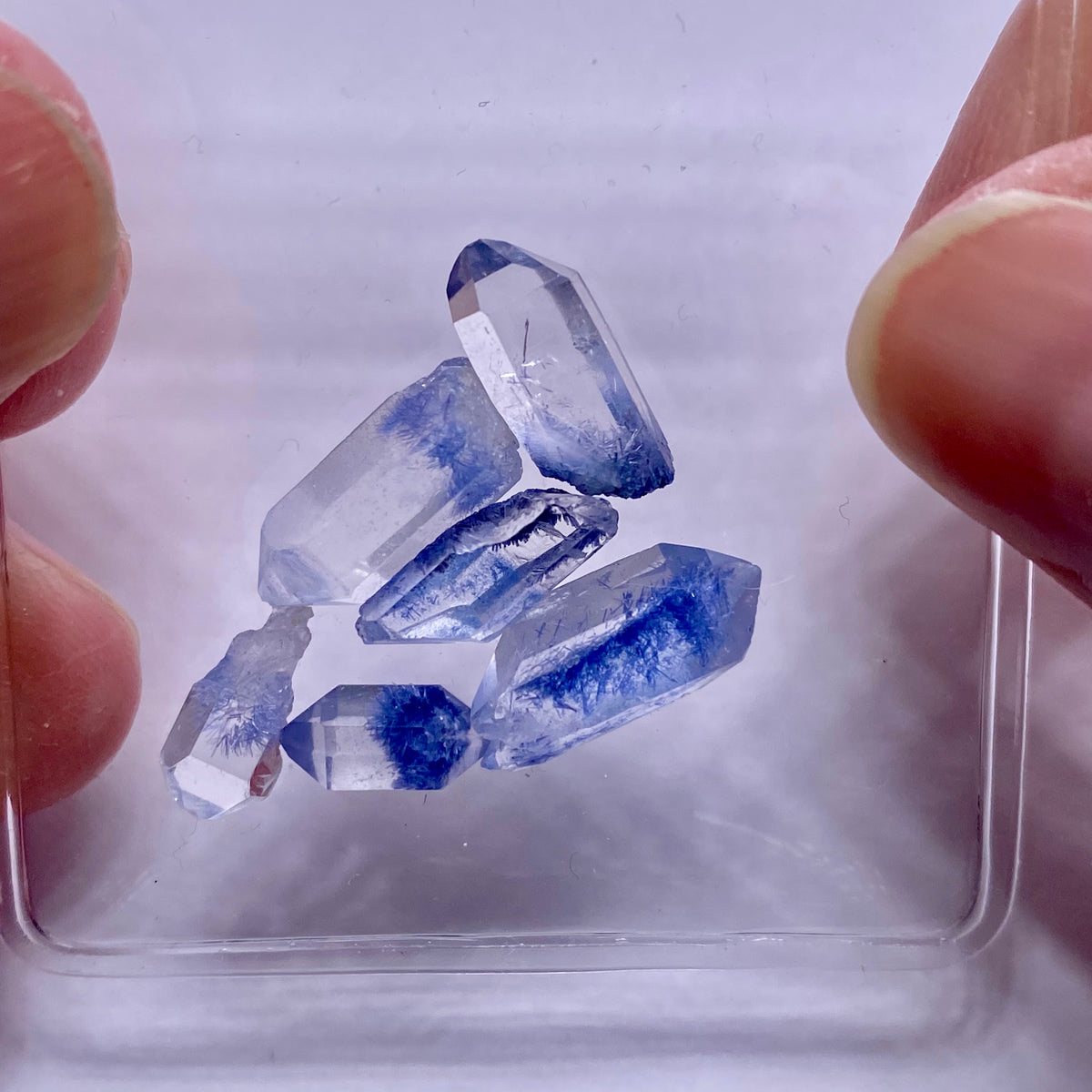 Dumortierite in Quartz - Brazil