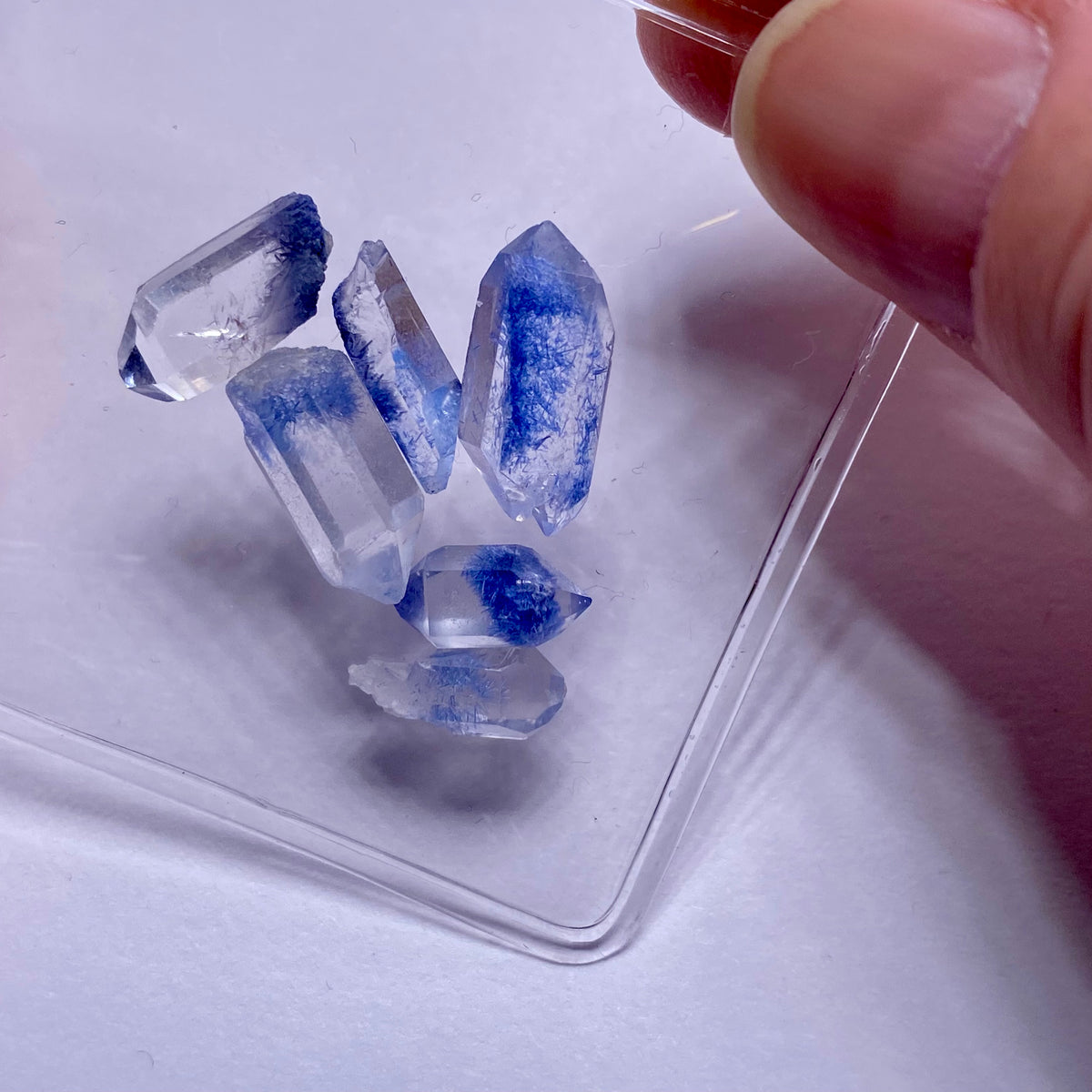 Dumortierite in Quartz - Brazil