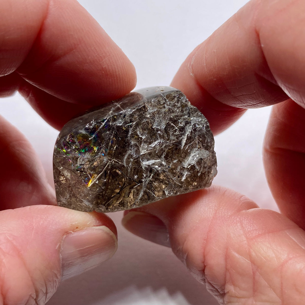 Smokey Tourmalated Quartz - Brazil