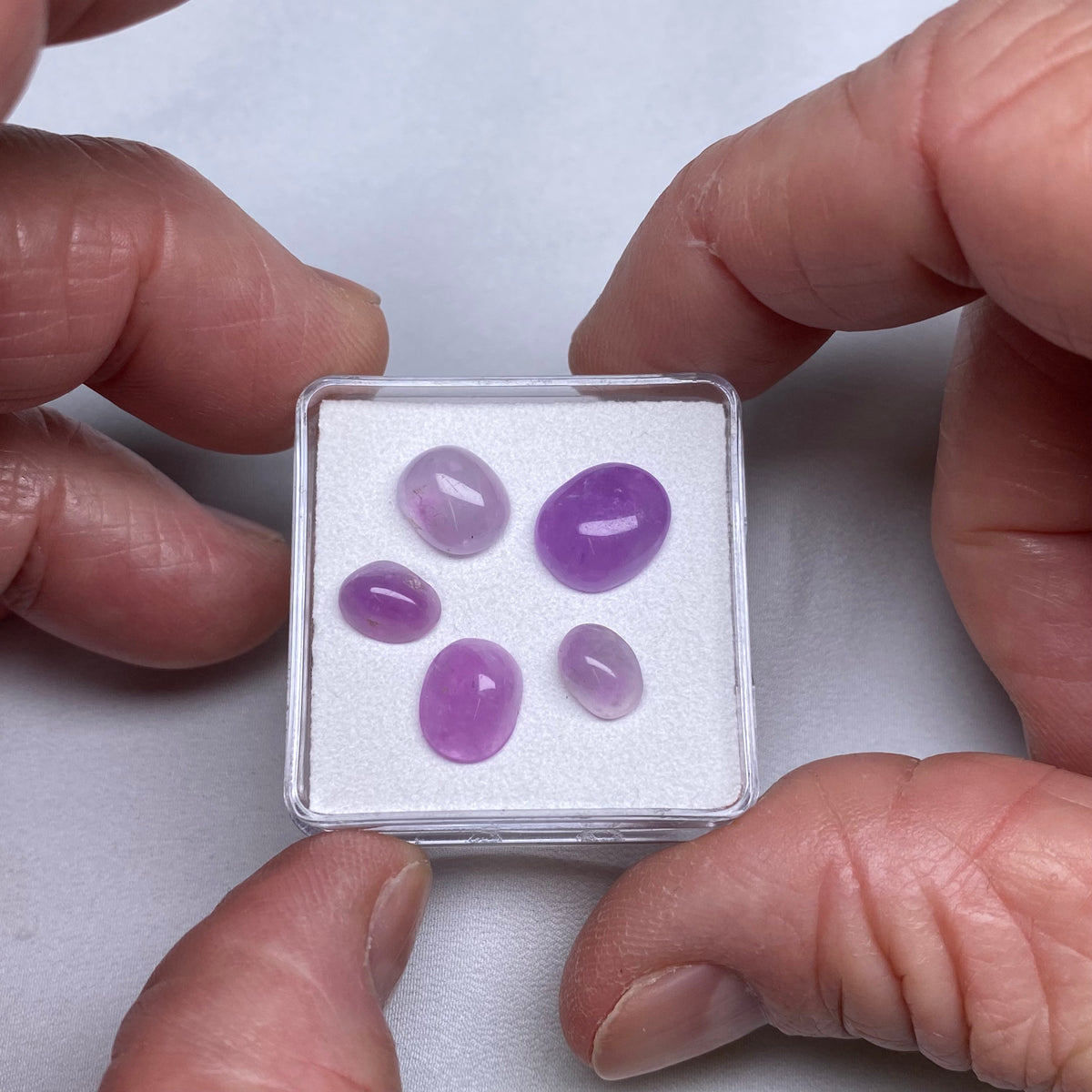 Hackmanite Cabochons