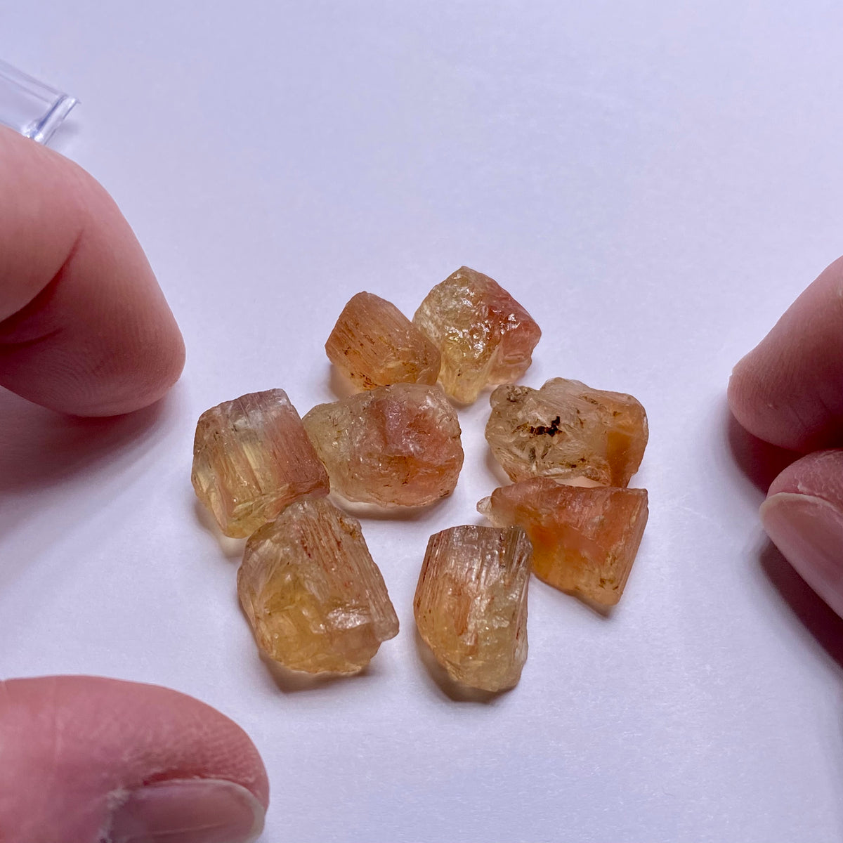Copper in Scapolite - Tanzania