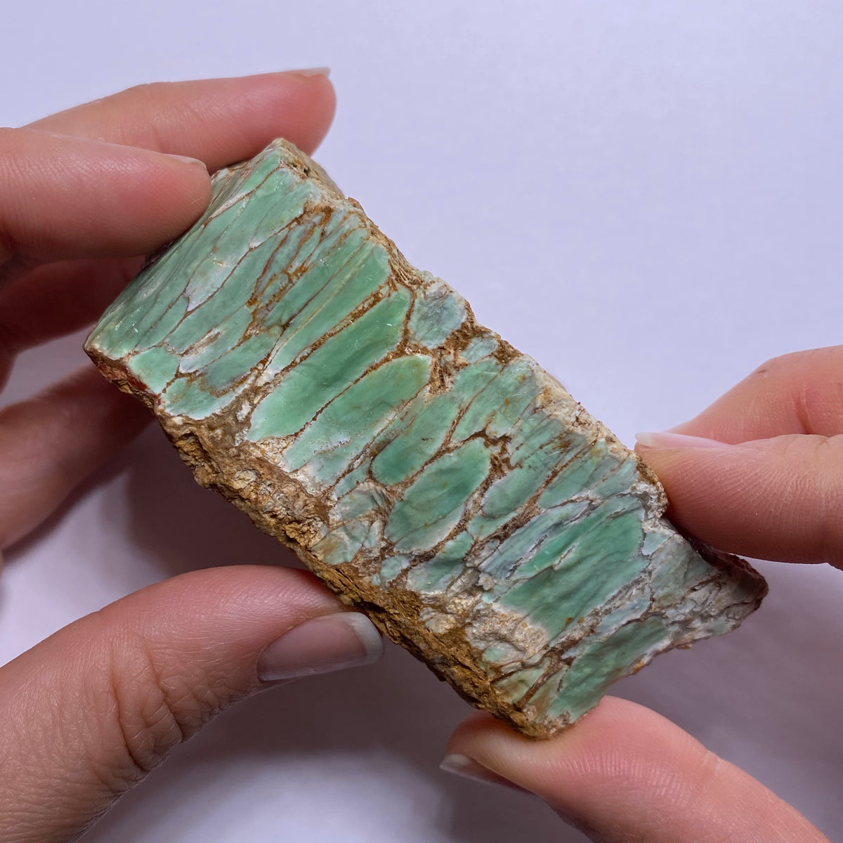 Webbed Variscite - Australia
