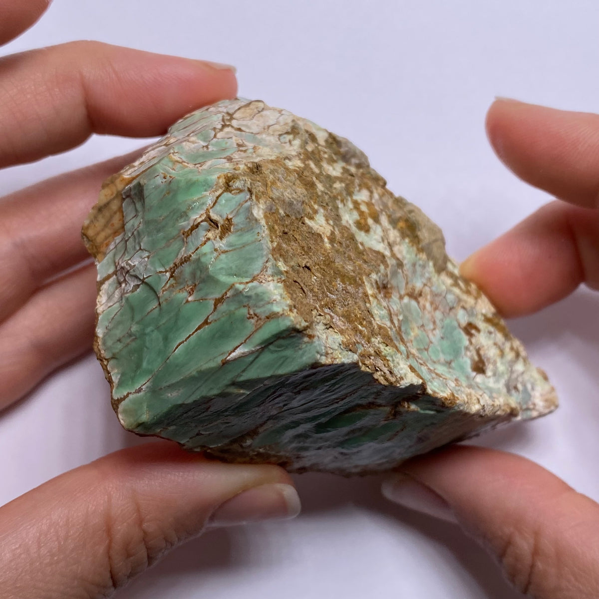 Webbed Variscite - Australia