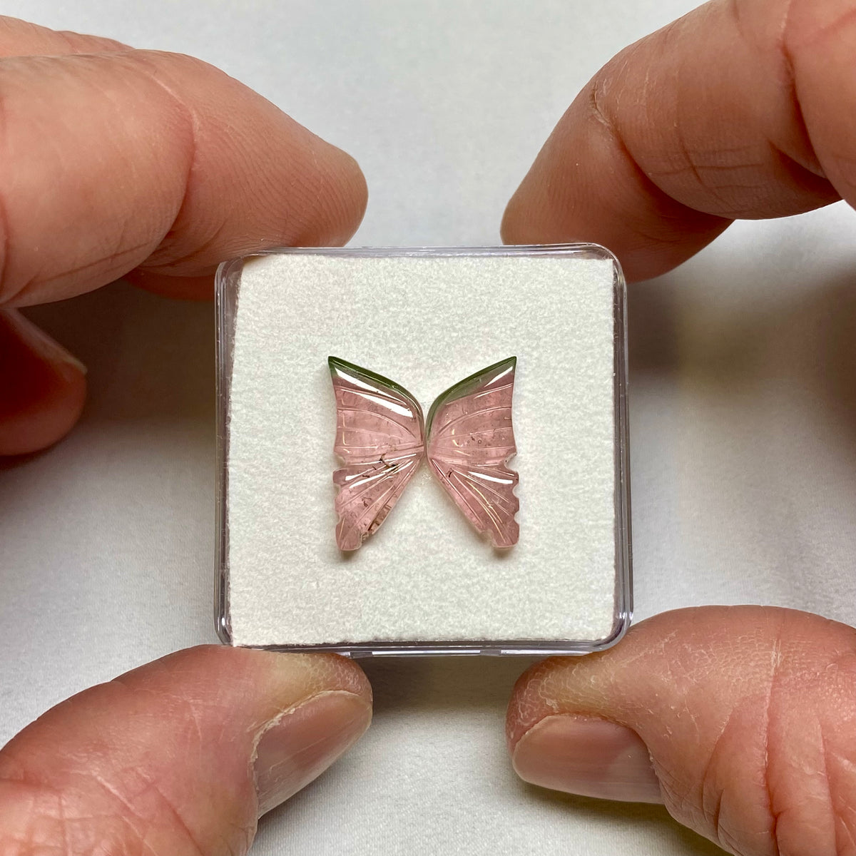 Tourmaline Butterfly Wings - Brazil