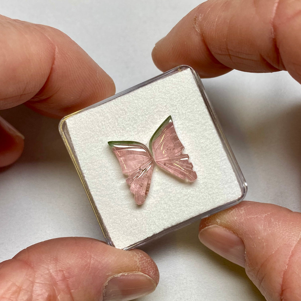 Tourmaline Butterfly Wings - Brazil