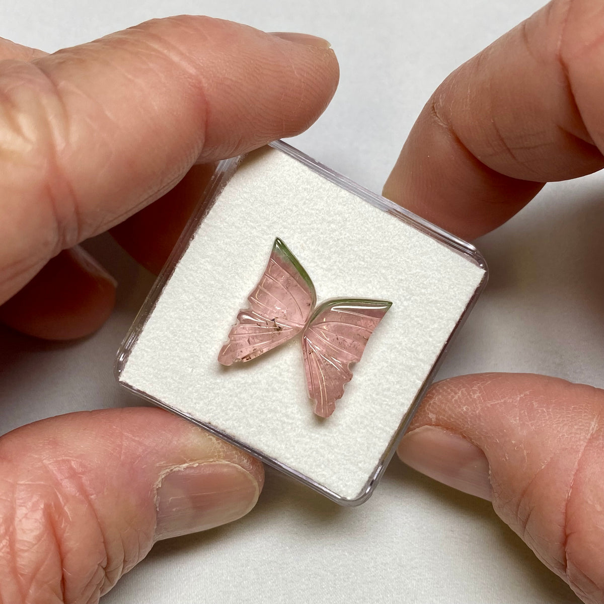 Tourmaline Butterfly Wings - Brazil