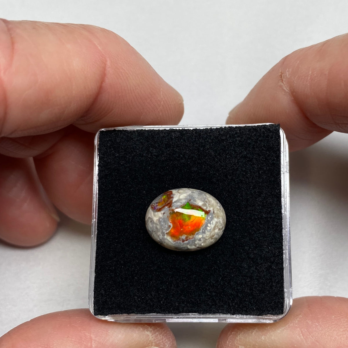 Cantera Opal