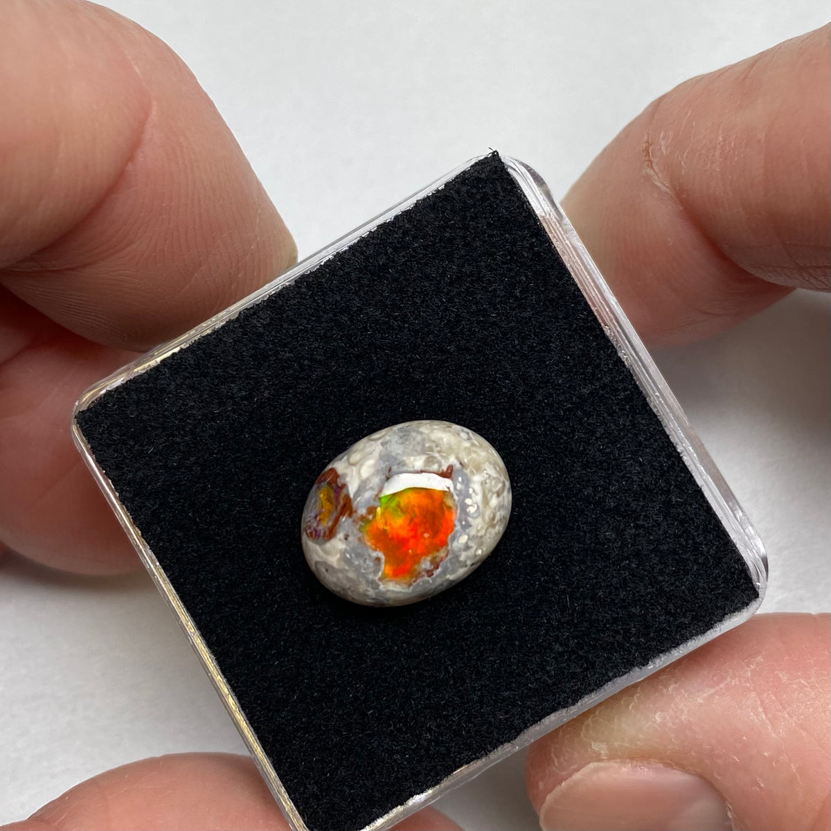 Cantera Opal