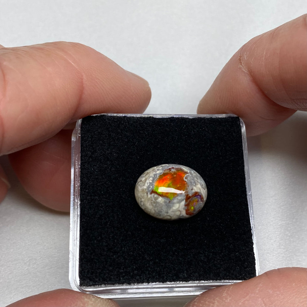Cantera Opal