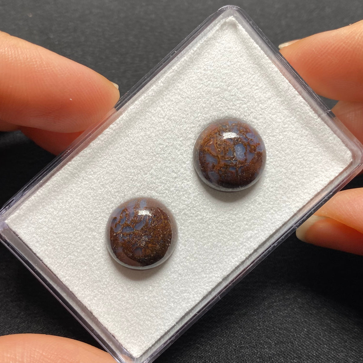 Fossilized Dinosaur Bone Cabochon