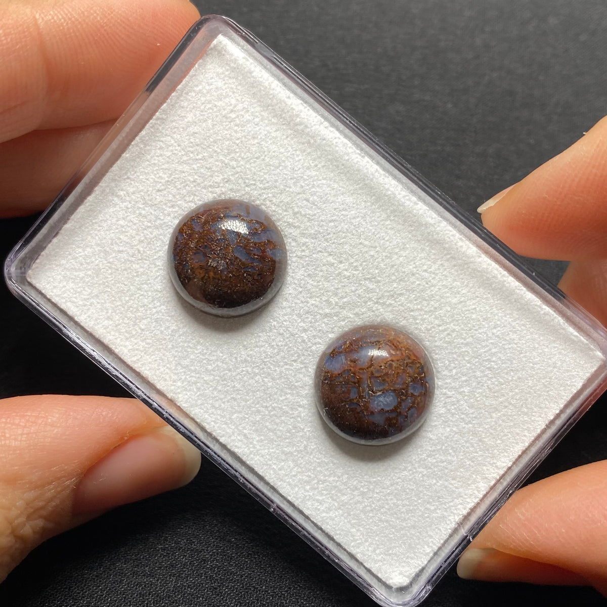 Fossilized Dinosaur Bone Cabochon