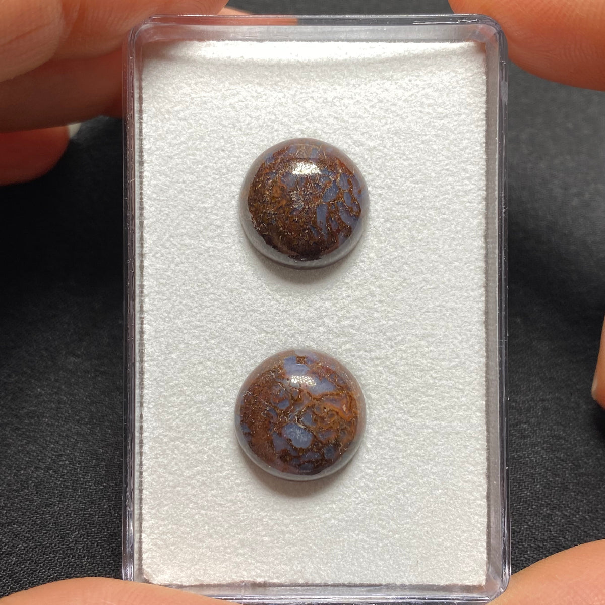 Fossilized Dinosaur Bone Cabochon
