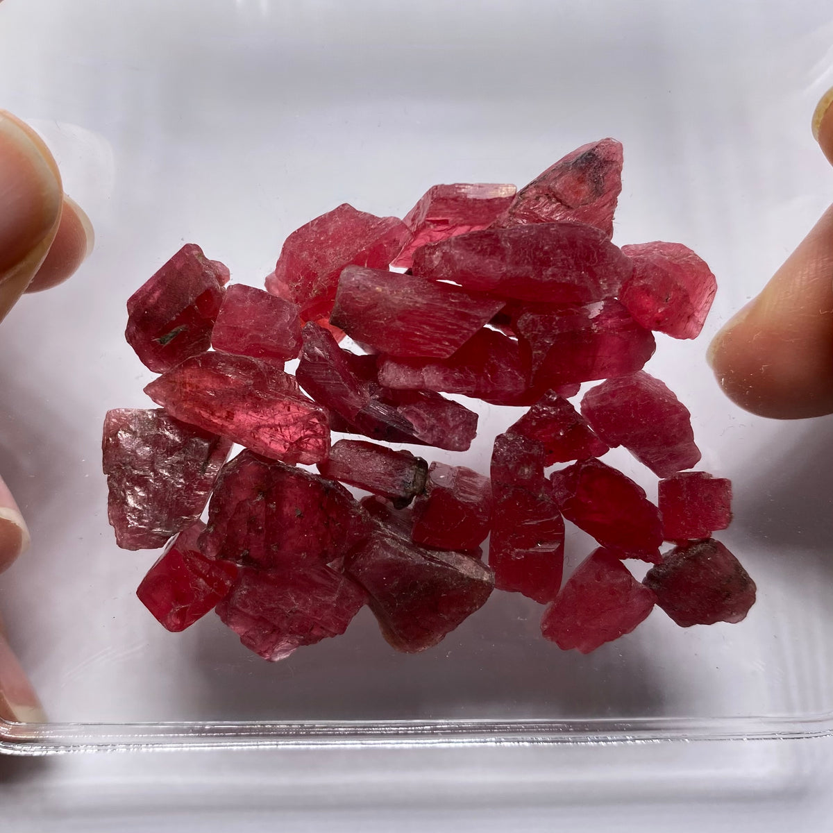 Rhodonite - Brazil