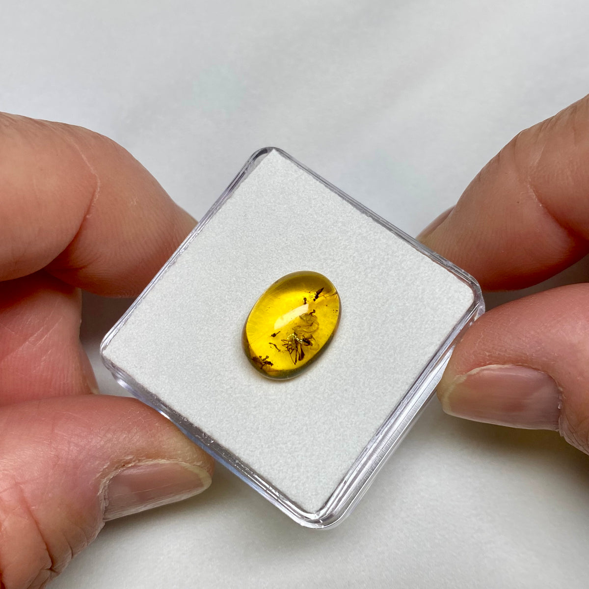 Burmese Amber
