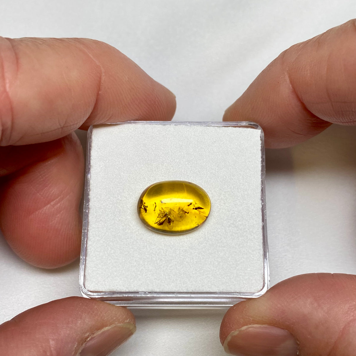 Burmese Amber