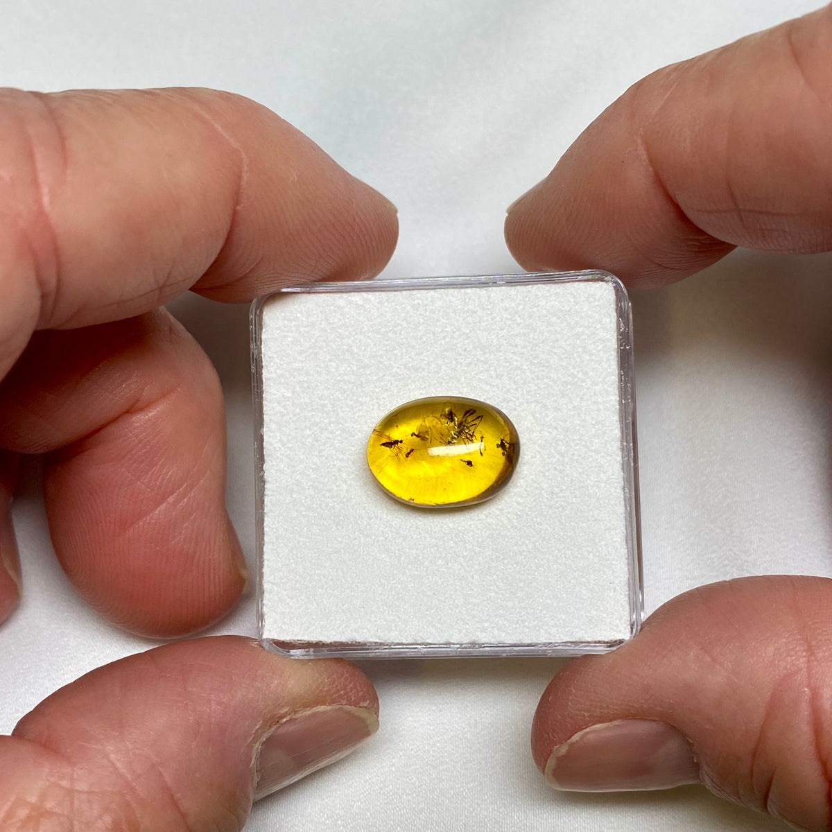 Burmese Amber