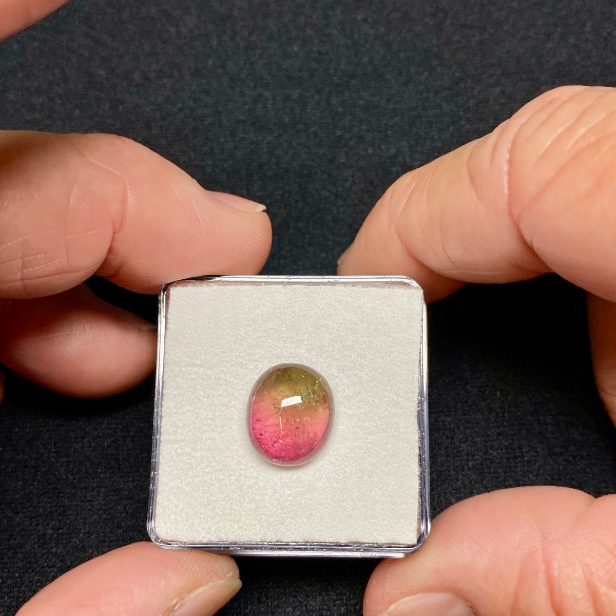 Bi-Color Tourmaline Cab  - Brazil