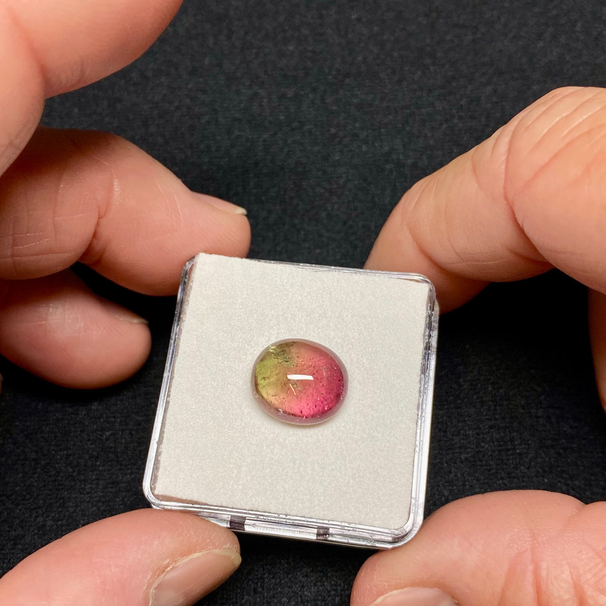 Bi-Color Tourmaline Cab  - Brazil