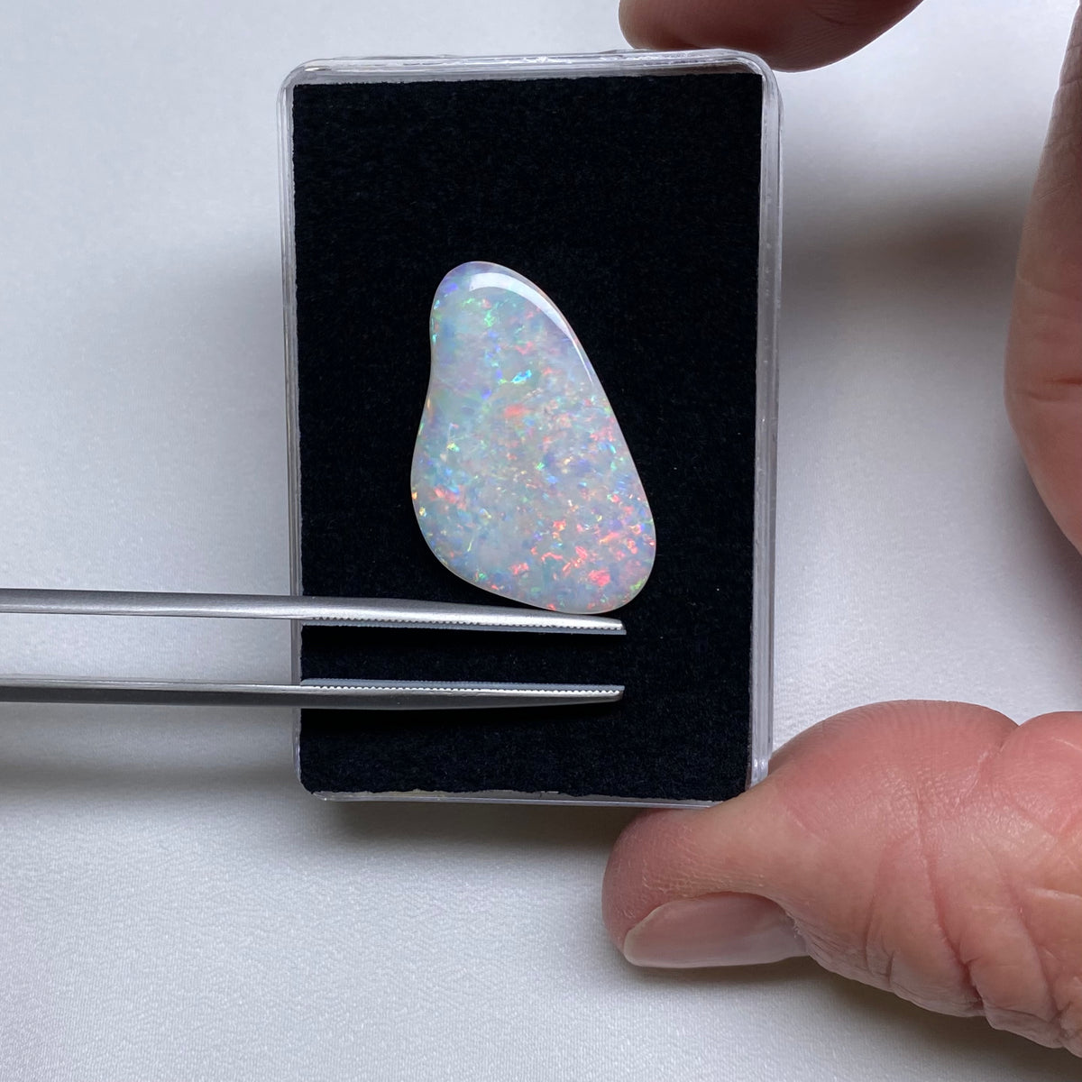 Opal - Olympia Field , Australia