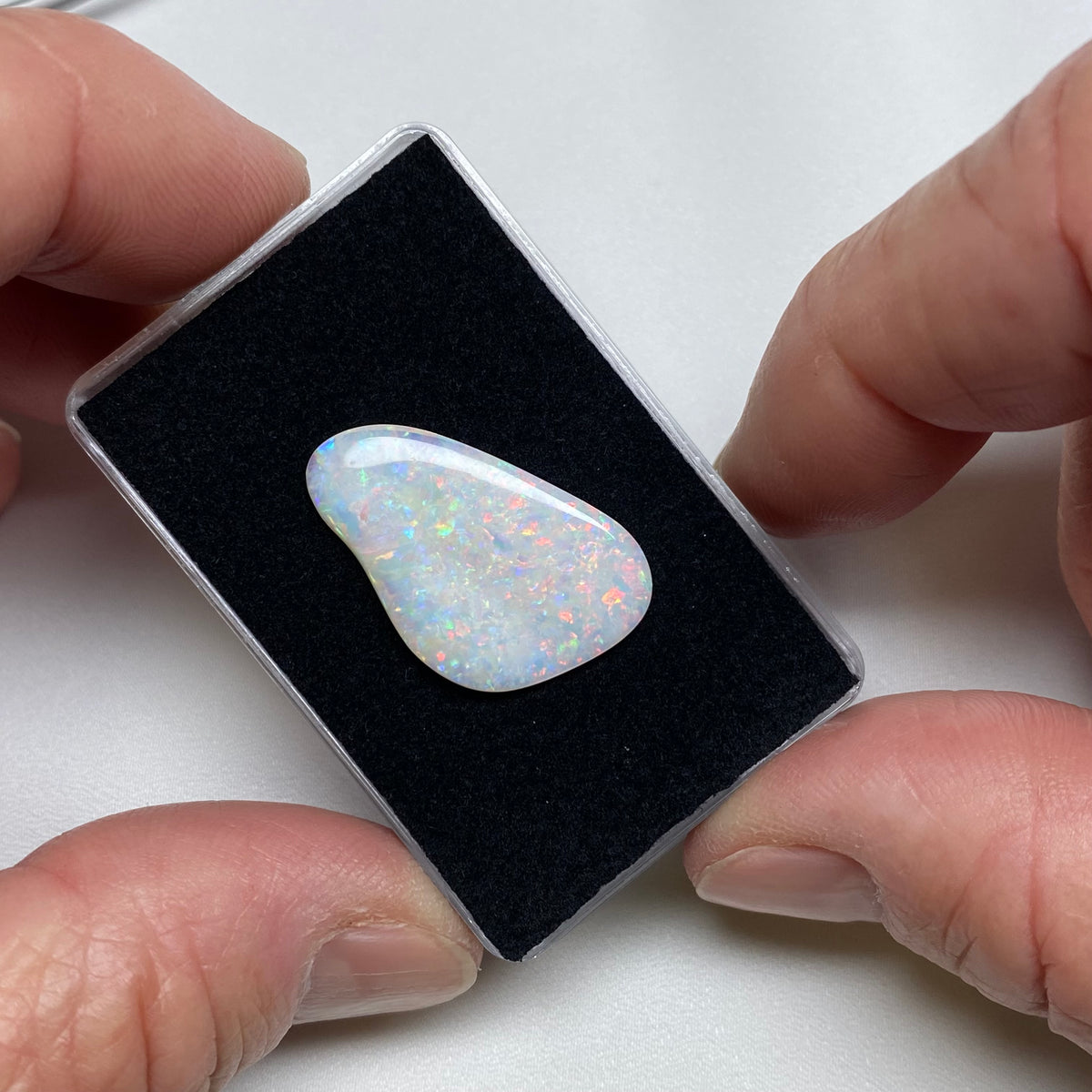Opal - Olympia Field , Australia