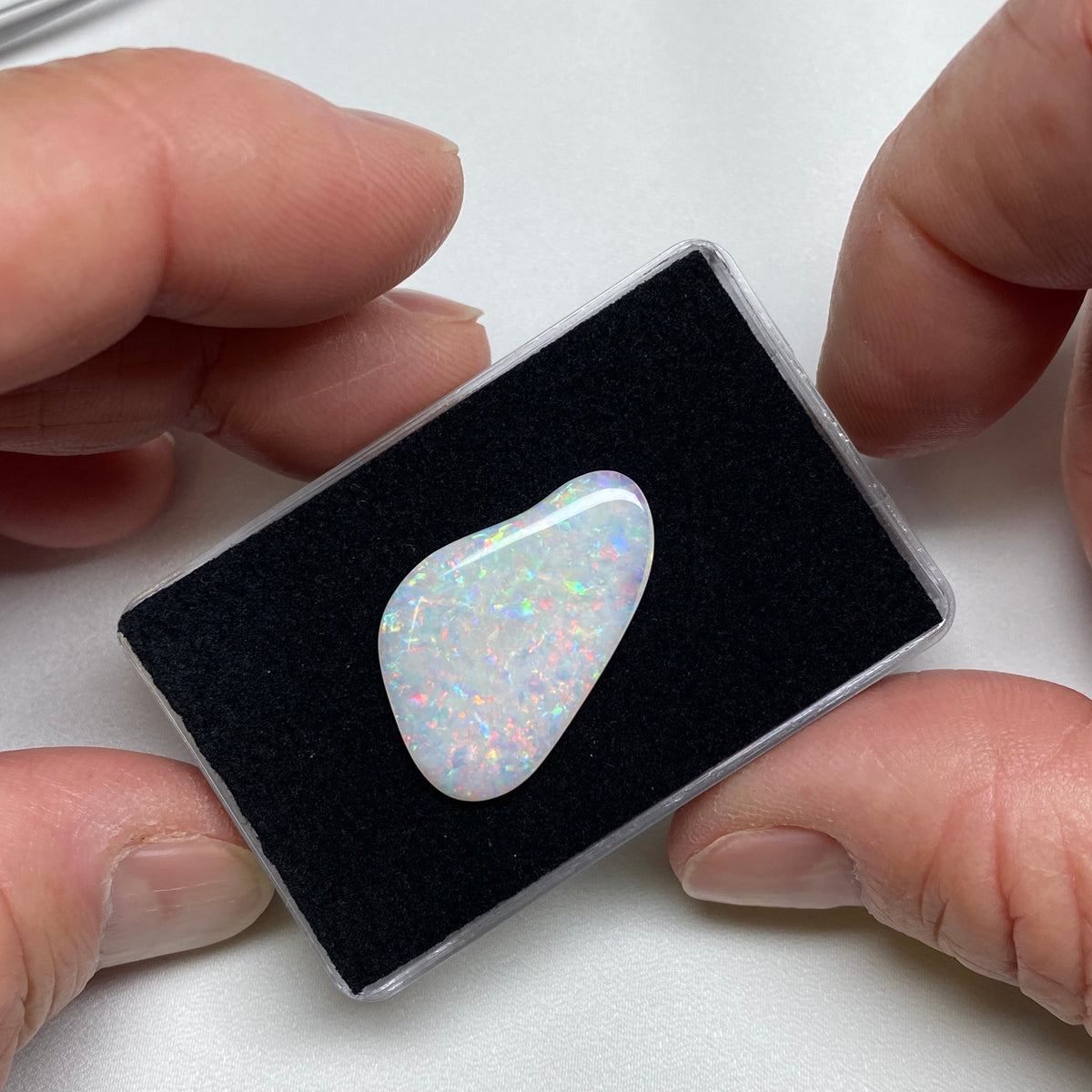 Opal - Olympia Field , Australia