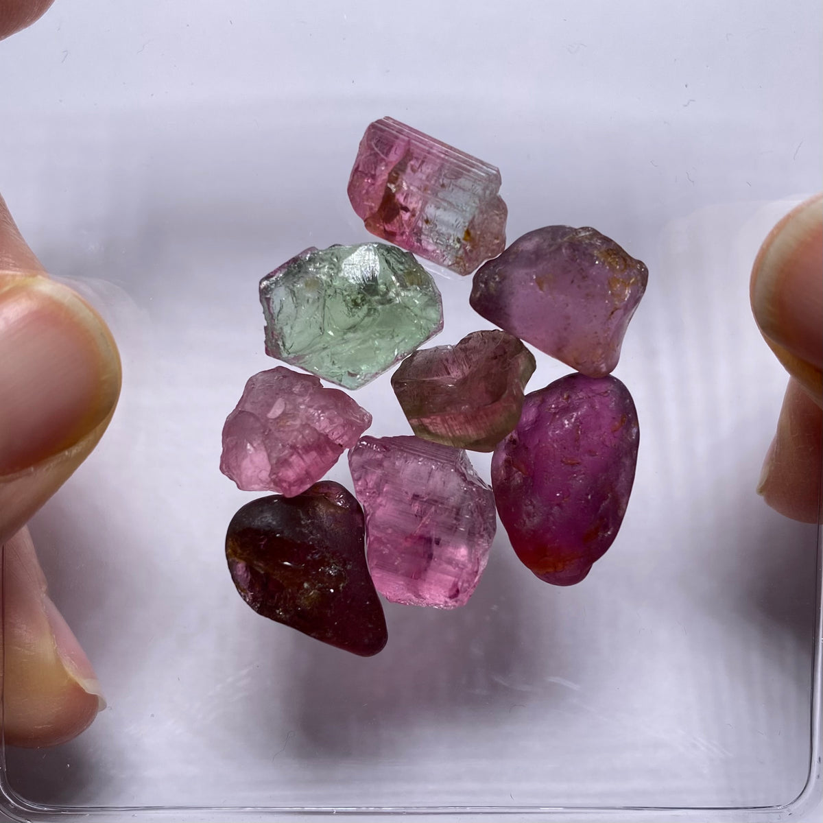 Tourmaline - Calabar, Nigeria