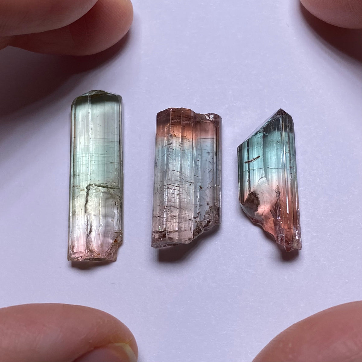 Bi-color Tourmaline - Congo