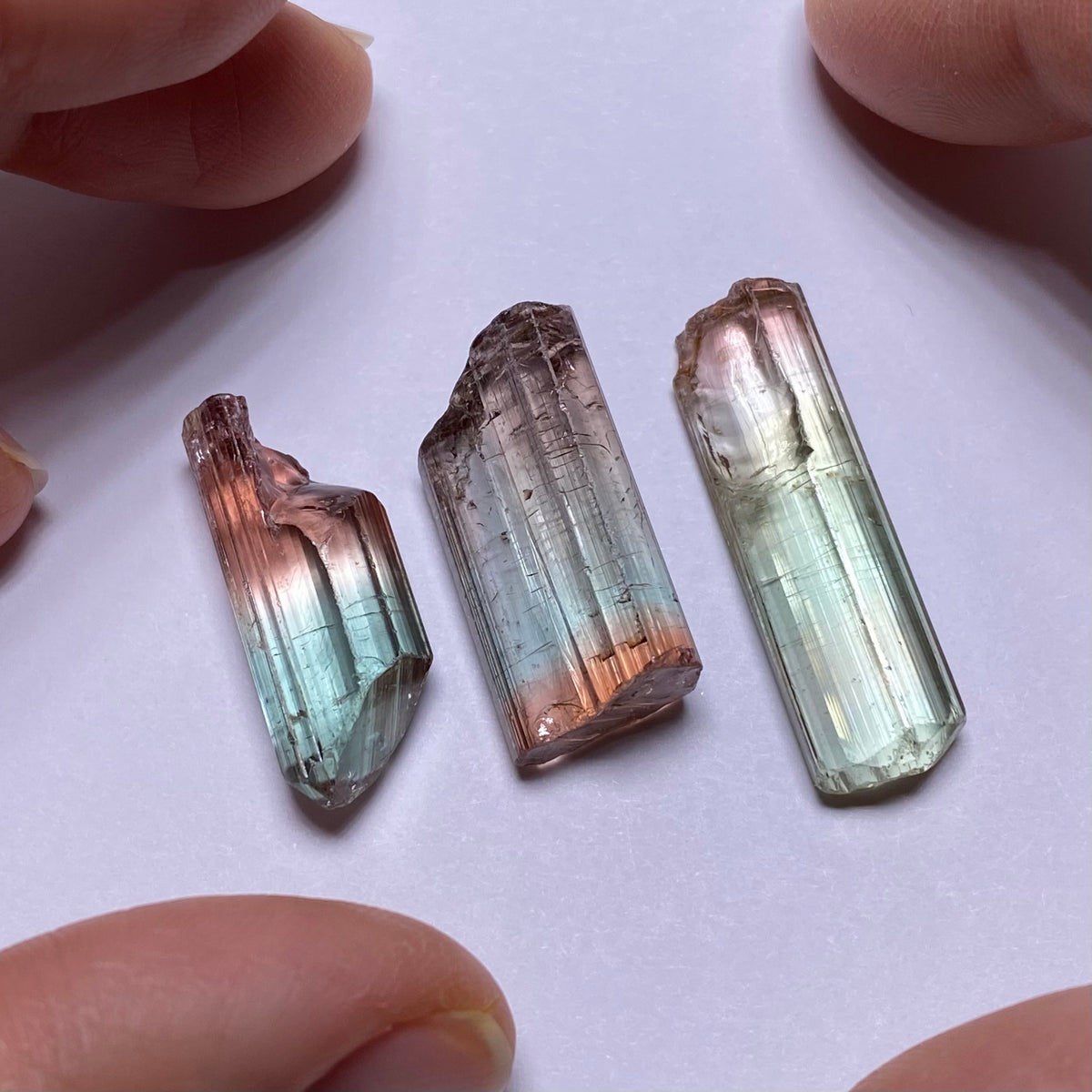 Bi-color Tourmaline - Congo