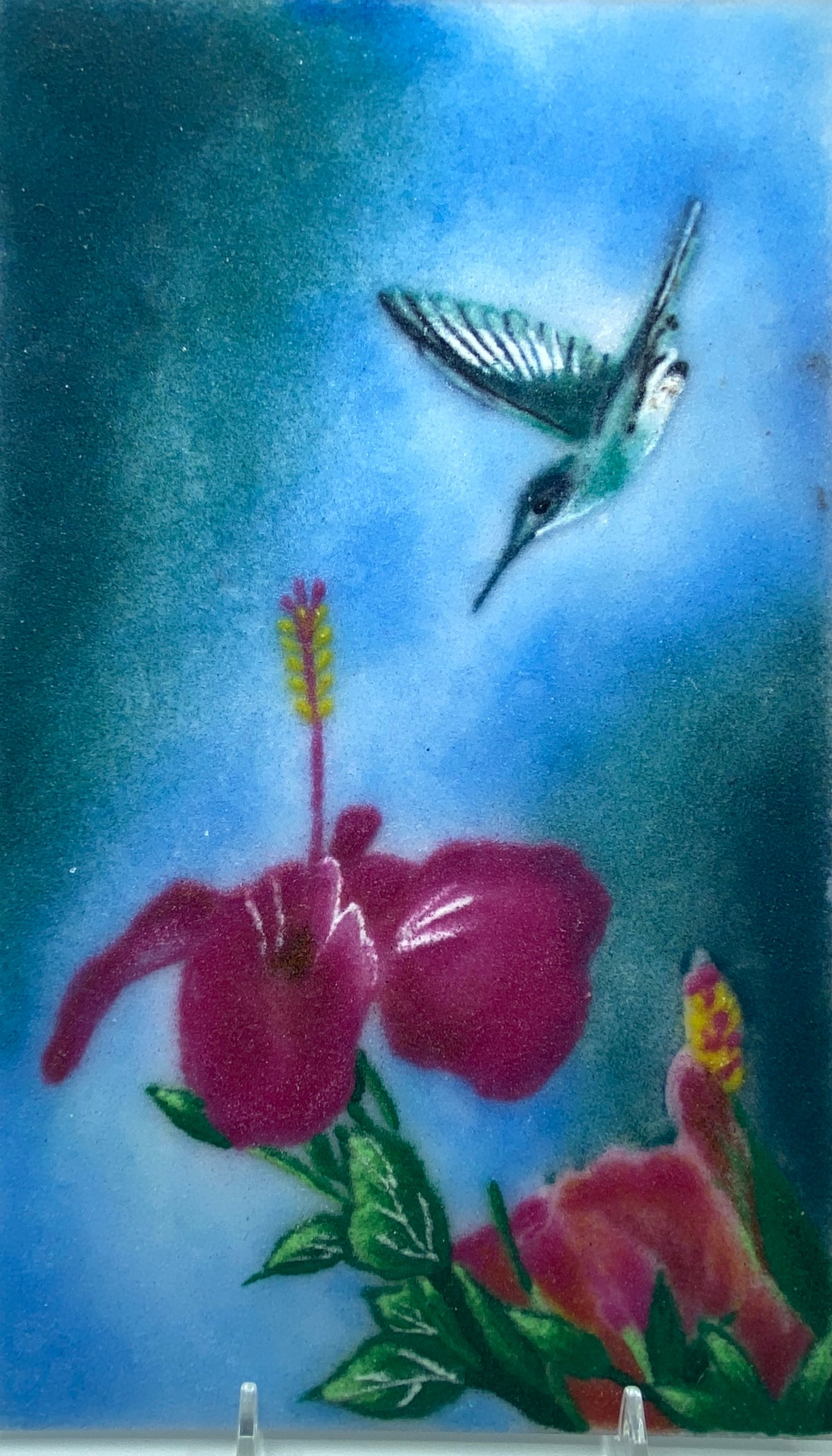 Red Hibiscus with Humming Bird