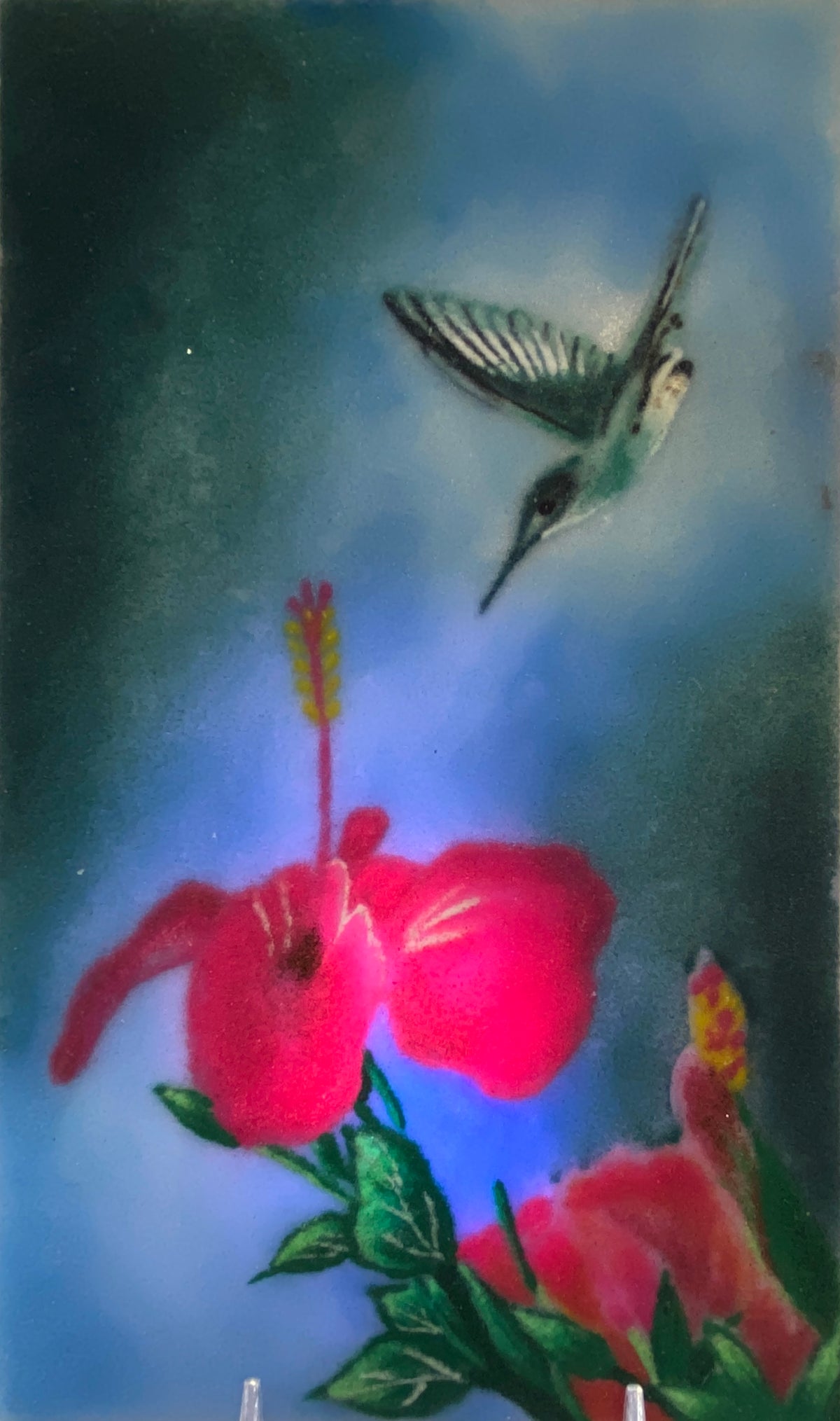 Red Hibiscus with Humming Bird