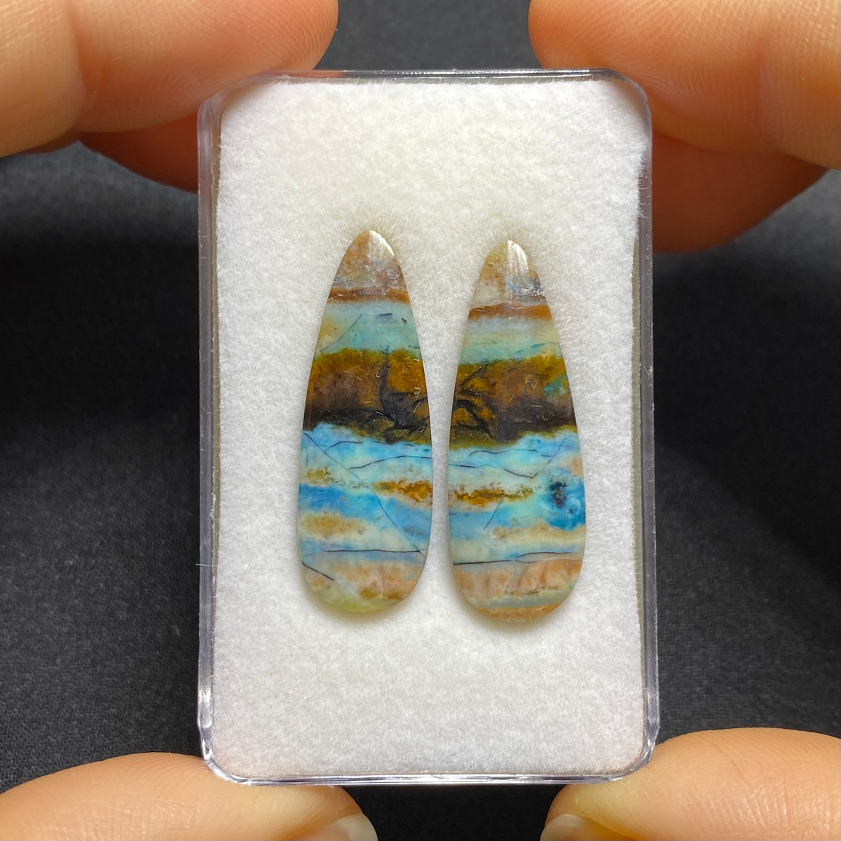 Blue Petrified Wood Cabochon