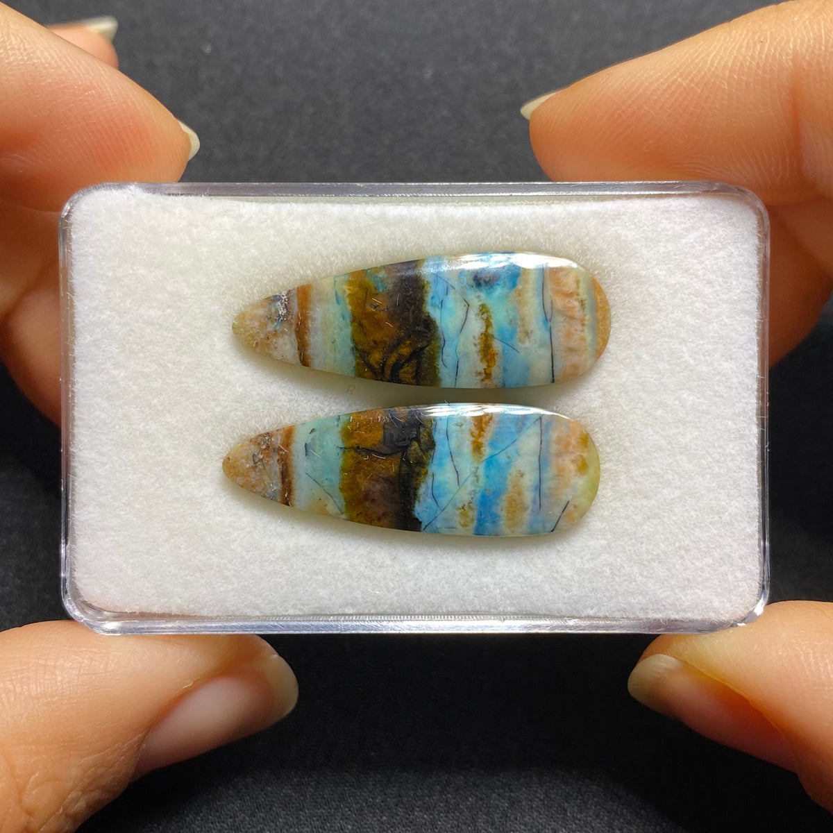 Blue Petrified Wood Cabochon