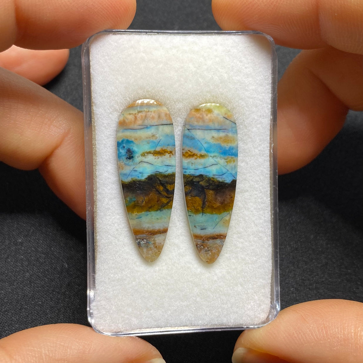 Blue Petrified Wood Cabochon