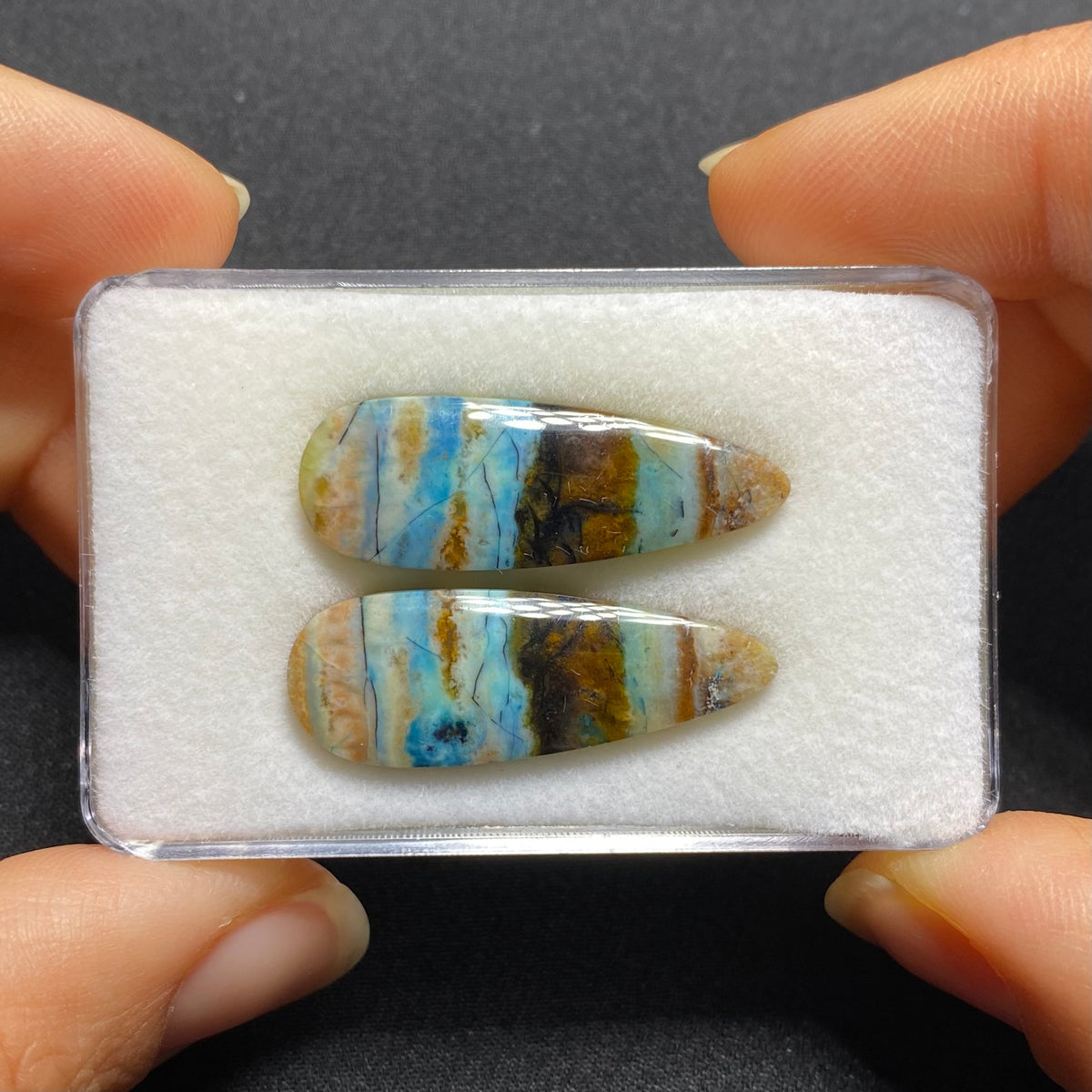 Blue Petrified Wood Cabochon