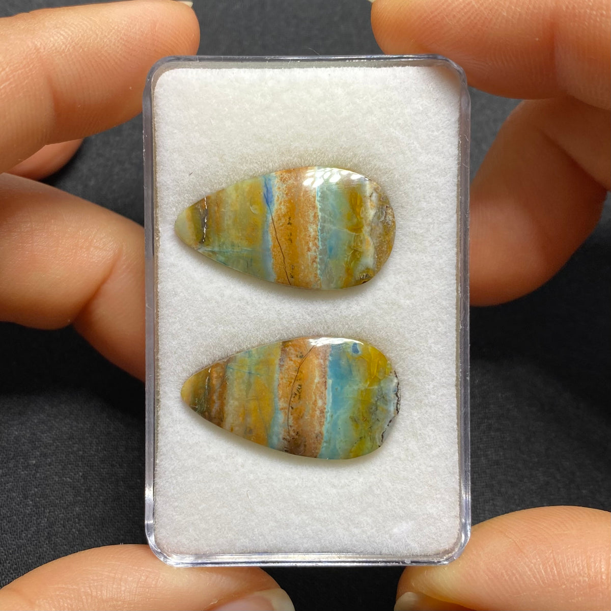 Petrified Opal Wood Cabochon