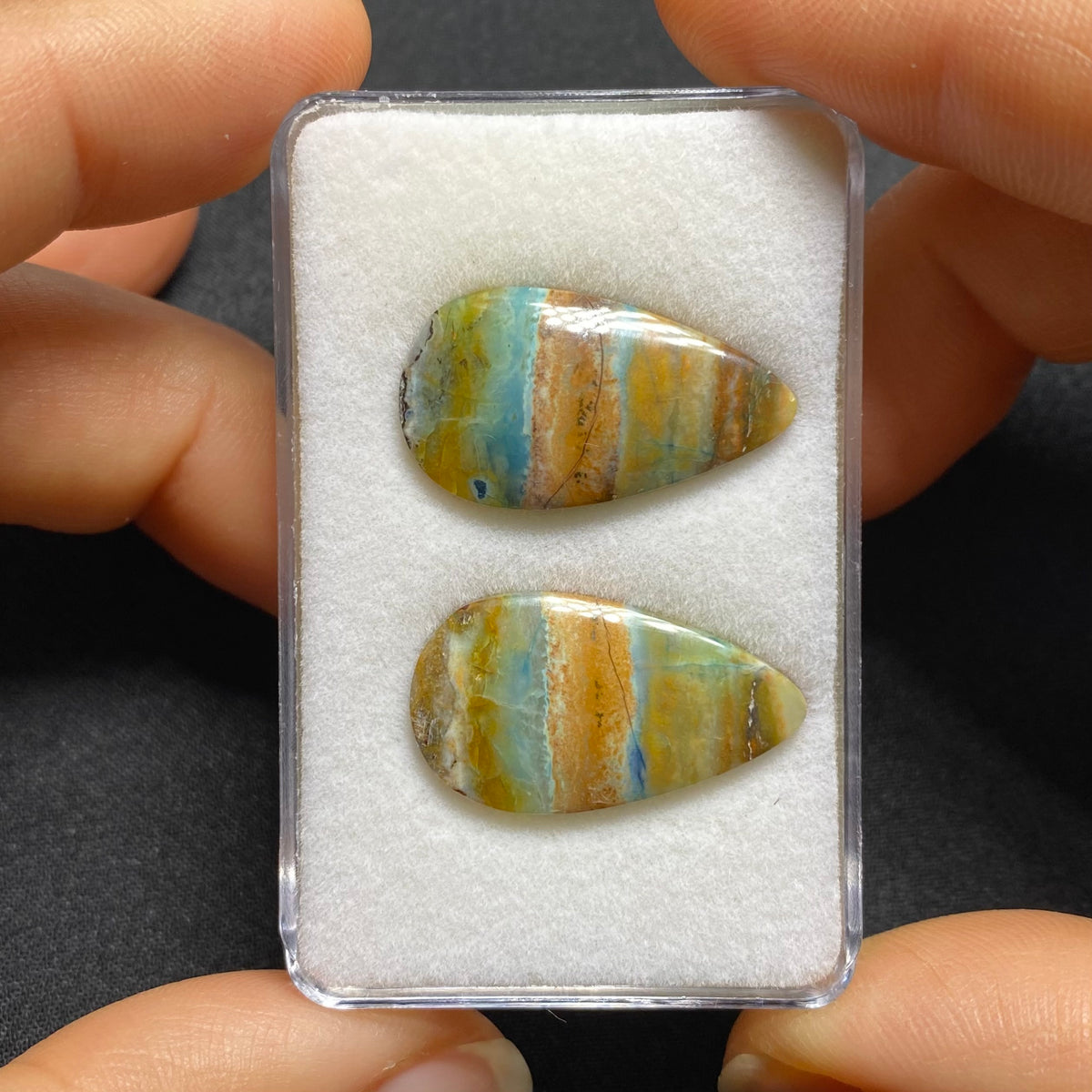 Petrified Opal Wood Cabochon