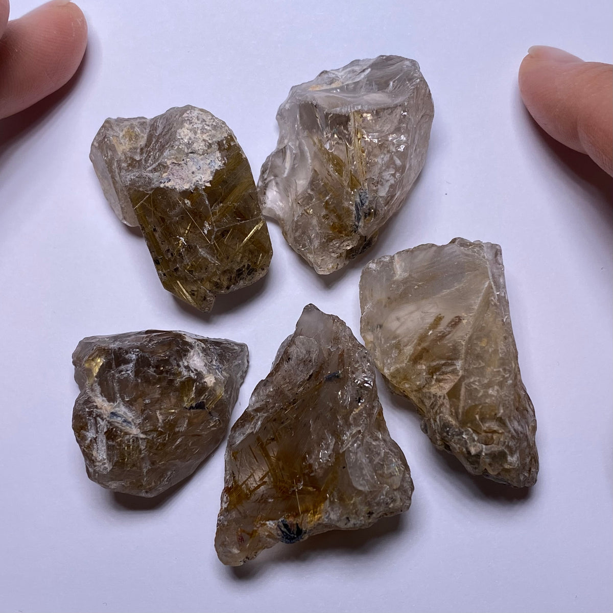 Golden Rutile in Quartz - Brazil