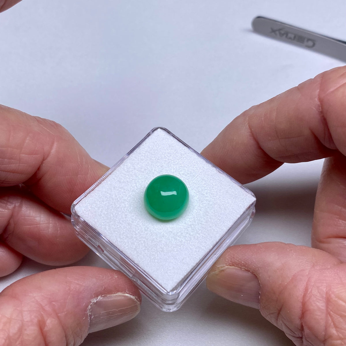 AAA Chrysoprase - Tanzania
