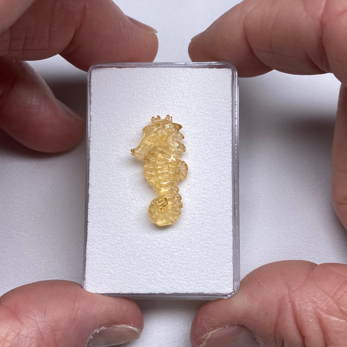 Topaz Seahorse Carving - Brazil