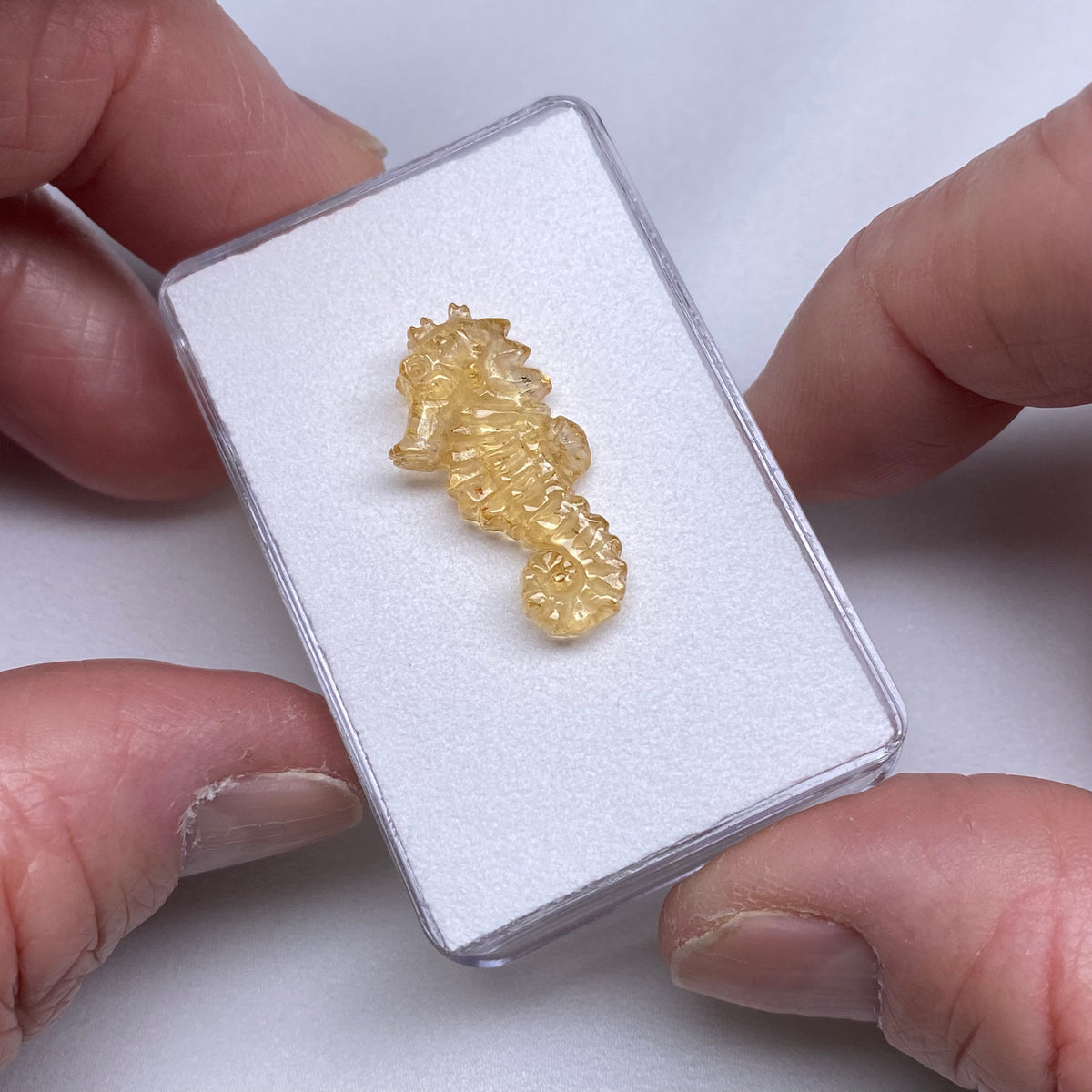 Topaz Seahorse Carving - Brazil