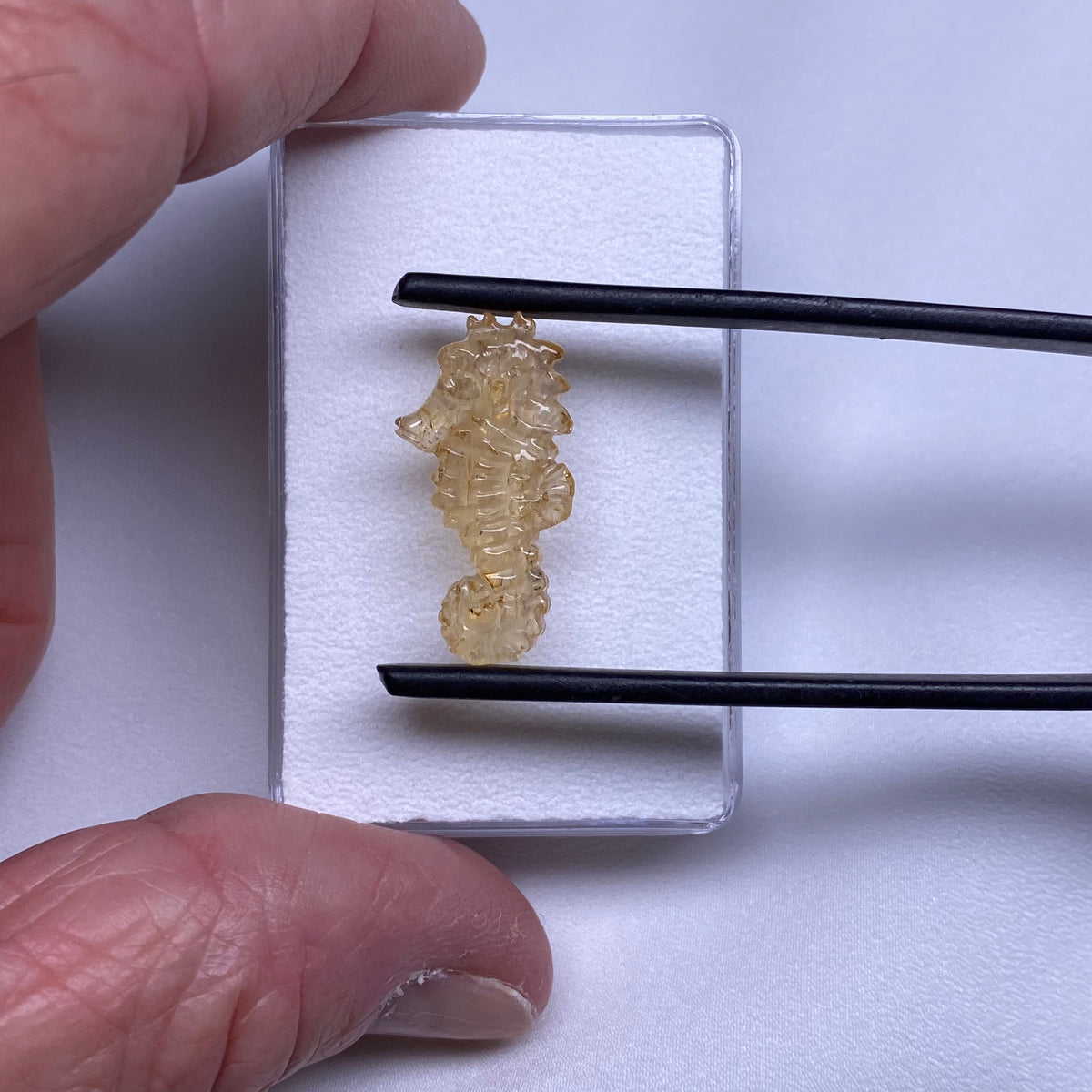 Topaz Seahorse Carving - Brazil