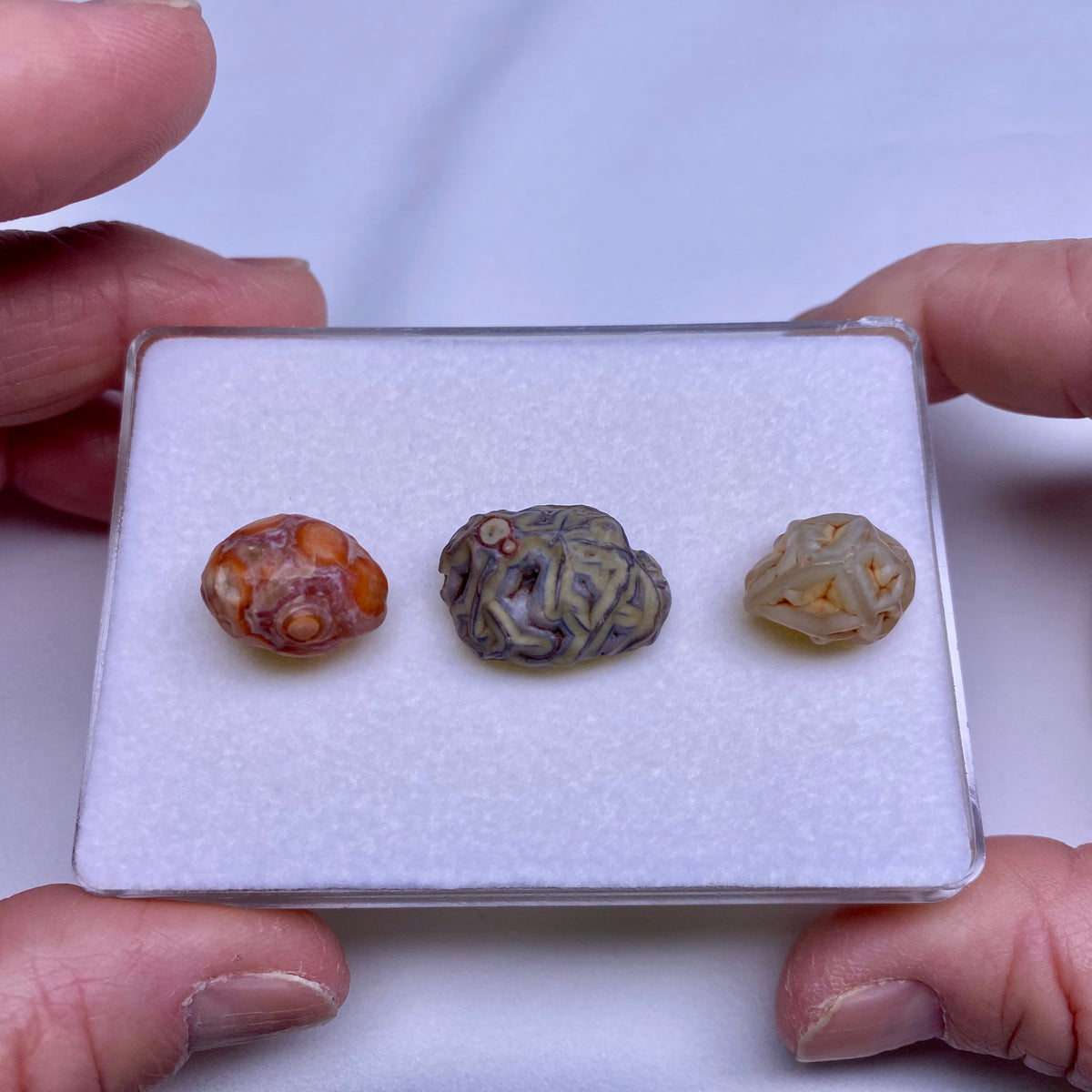 Gobi Agates - Gobi Desert, Mongolia