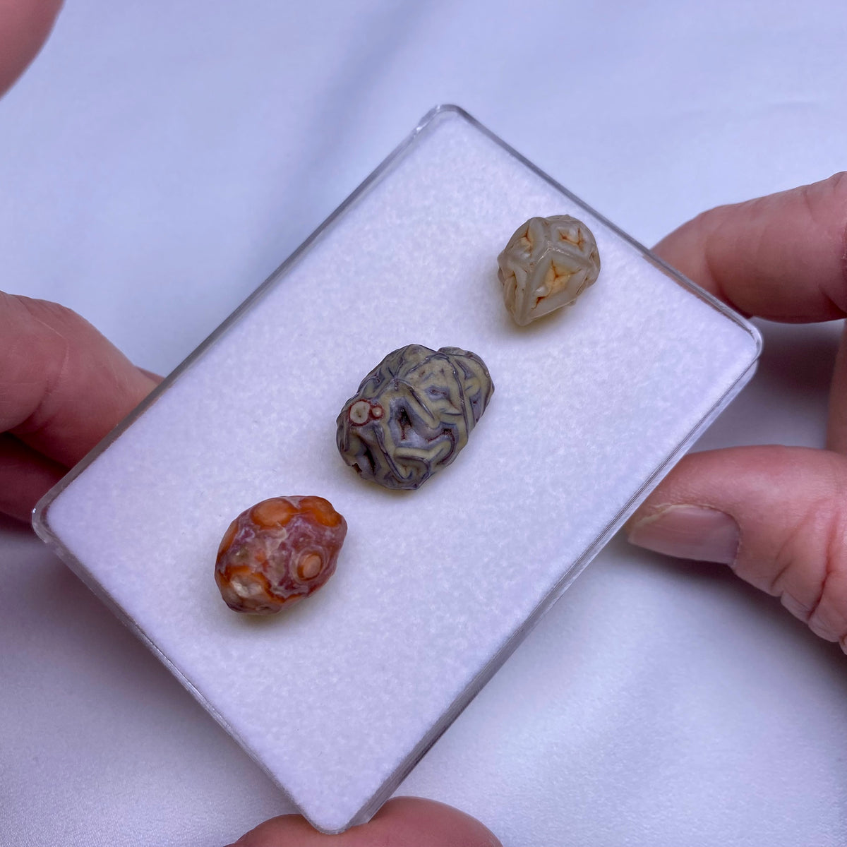 Gobi Agates - Gobi Desert, Mongolia
