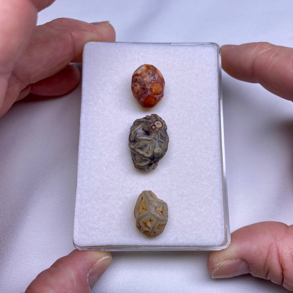 Gobi Agates - Gobi Desert, Mongolia