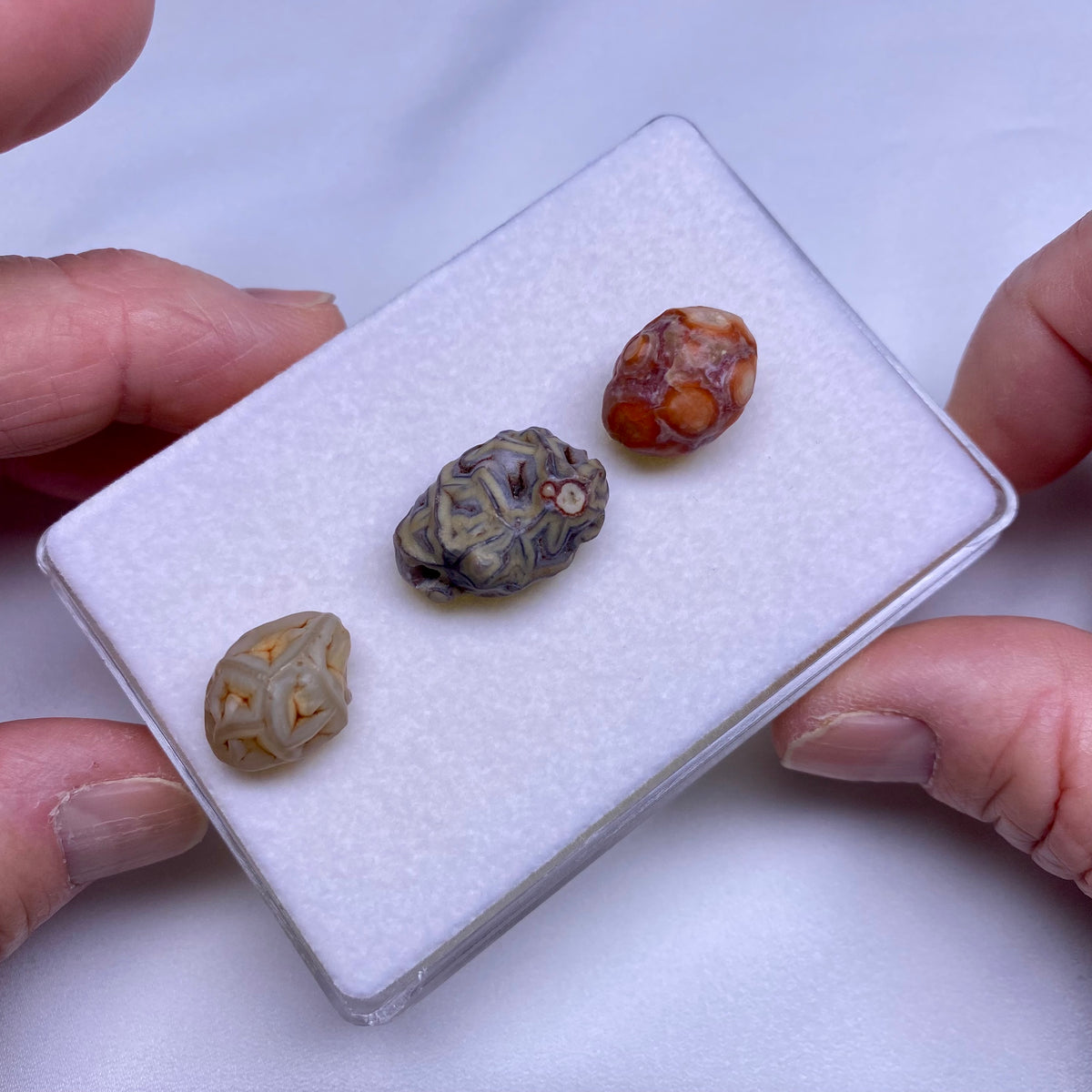Gobi Agates - Gobi Desert, Mongolia