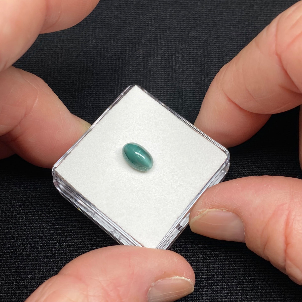 Cat's-Eye Tourmaline - Minas Gerais, Brazil.