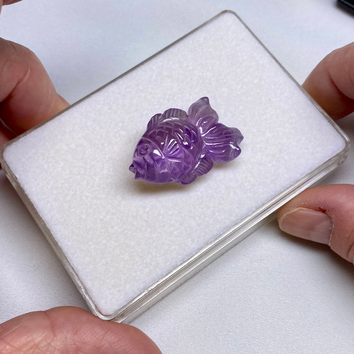 Amethyst Goldfish - Burma