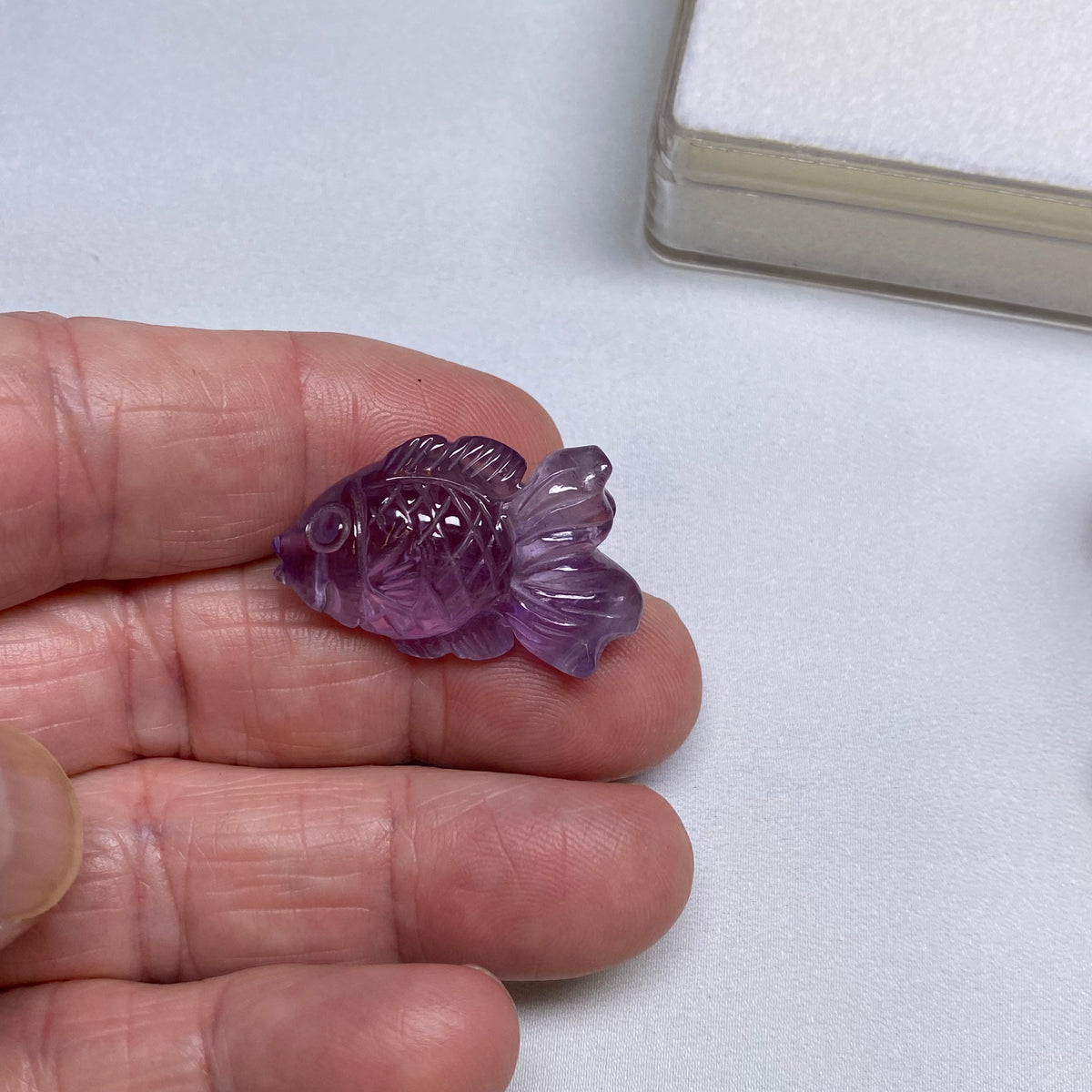 Amethyst Goldfish - Burma