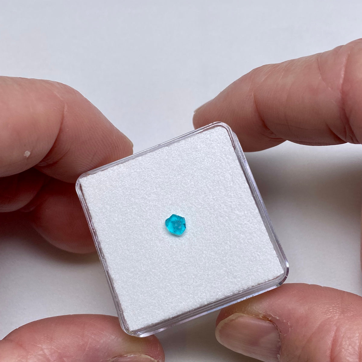 Paraiba Tourmaline Slice - Brazil