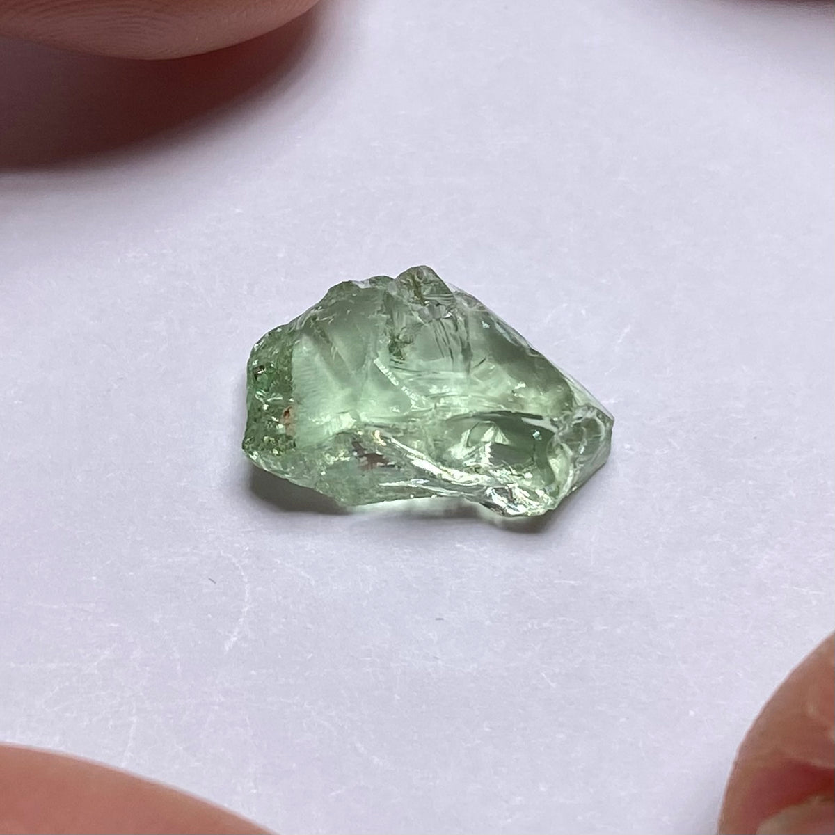 Merelani Mint Garnet
